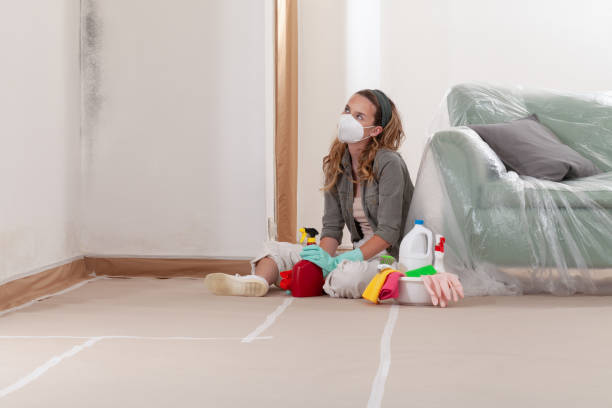 Reliable Mold Remediation contractor in Jacksonville, OR by WQB Mold Removal